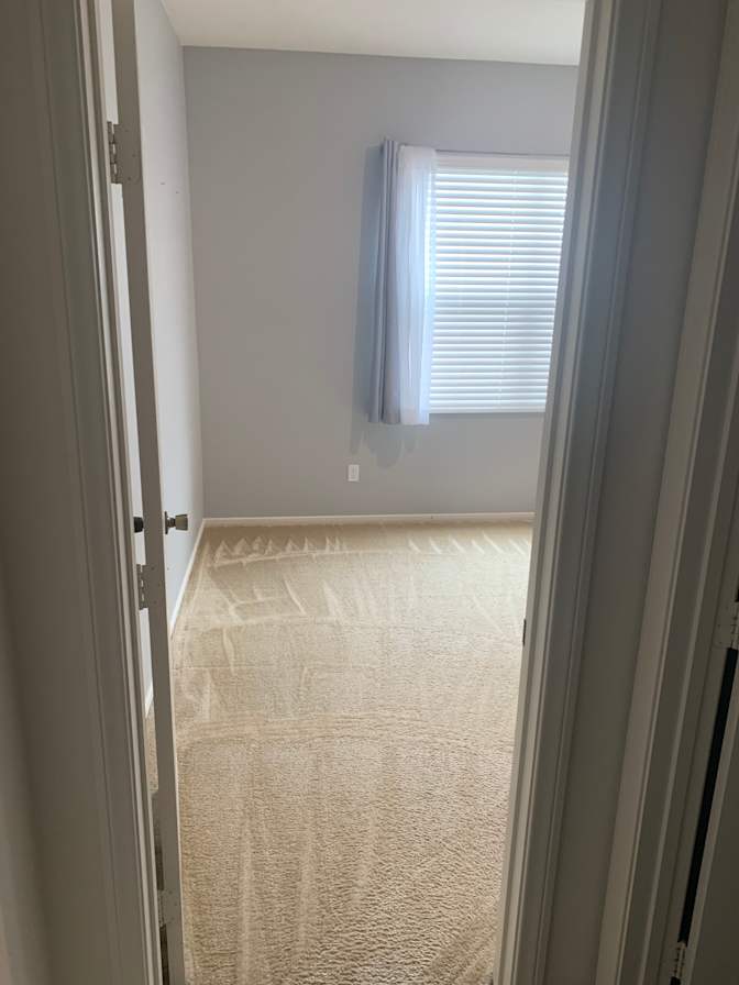 Liz C's room