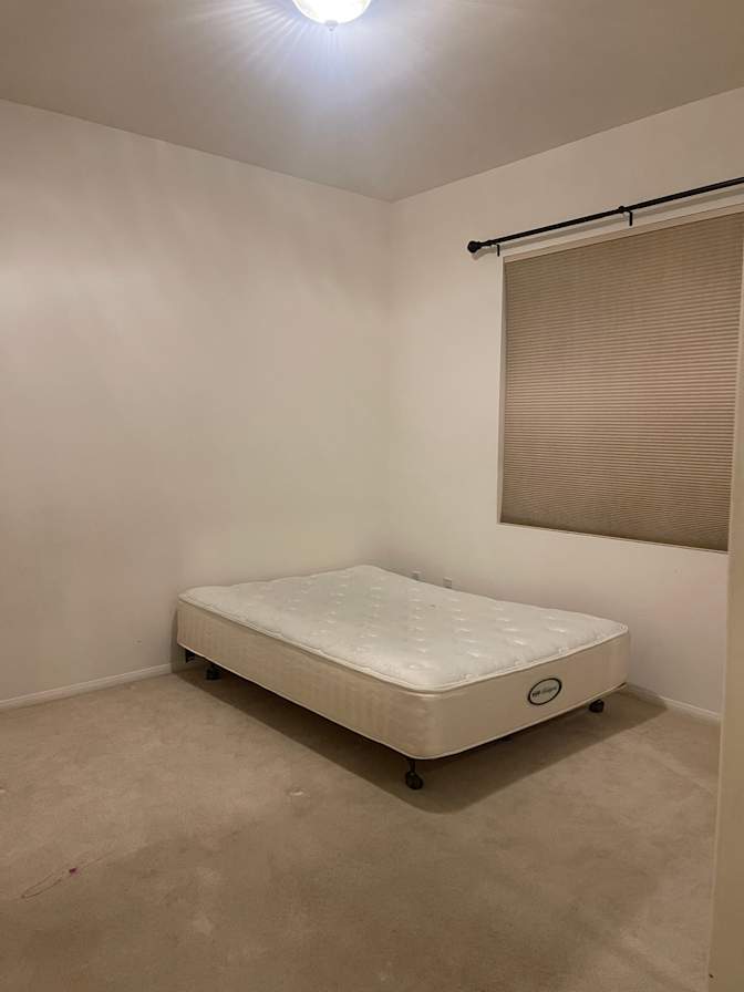 Molly's room