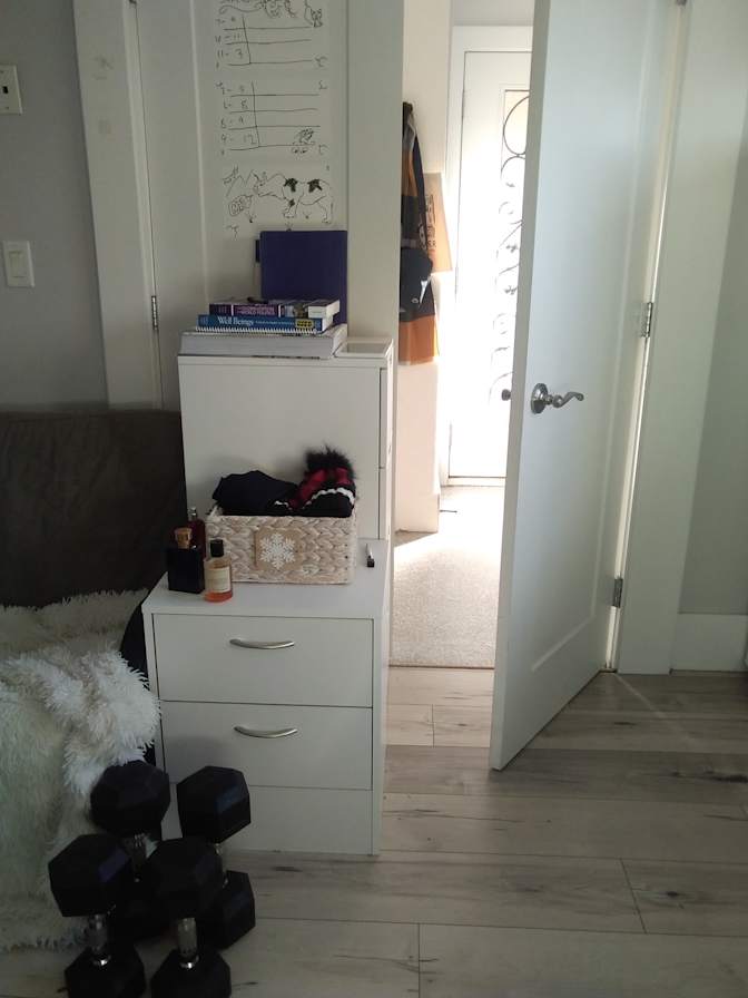 Aaron Zebrafish's room