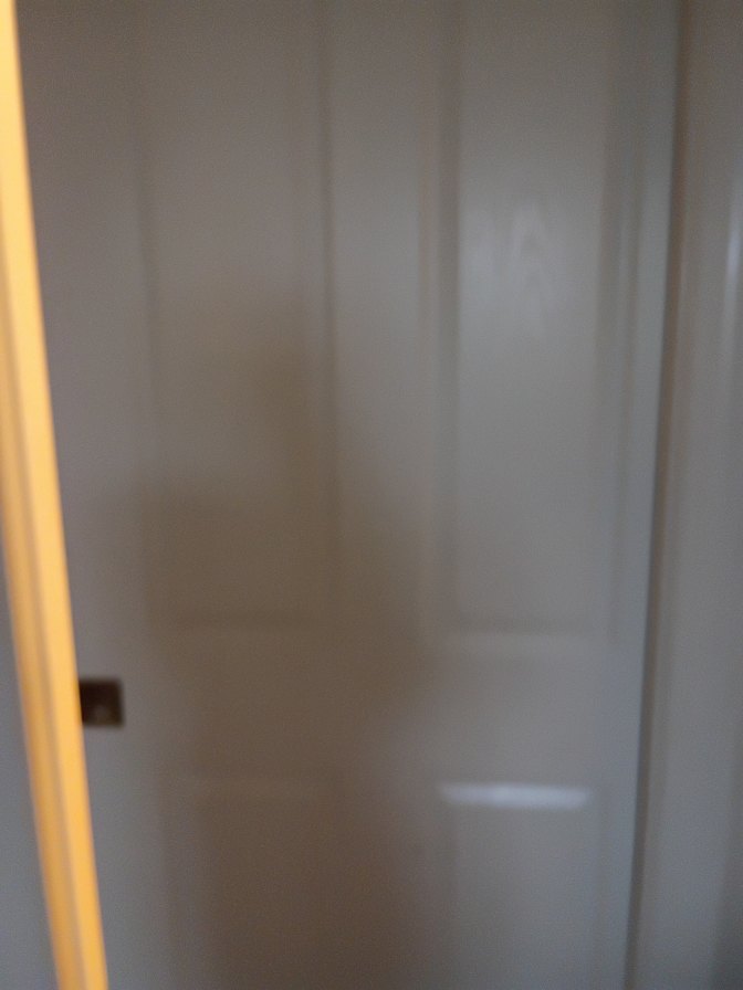 Adrienne S Willensky's room