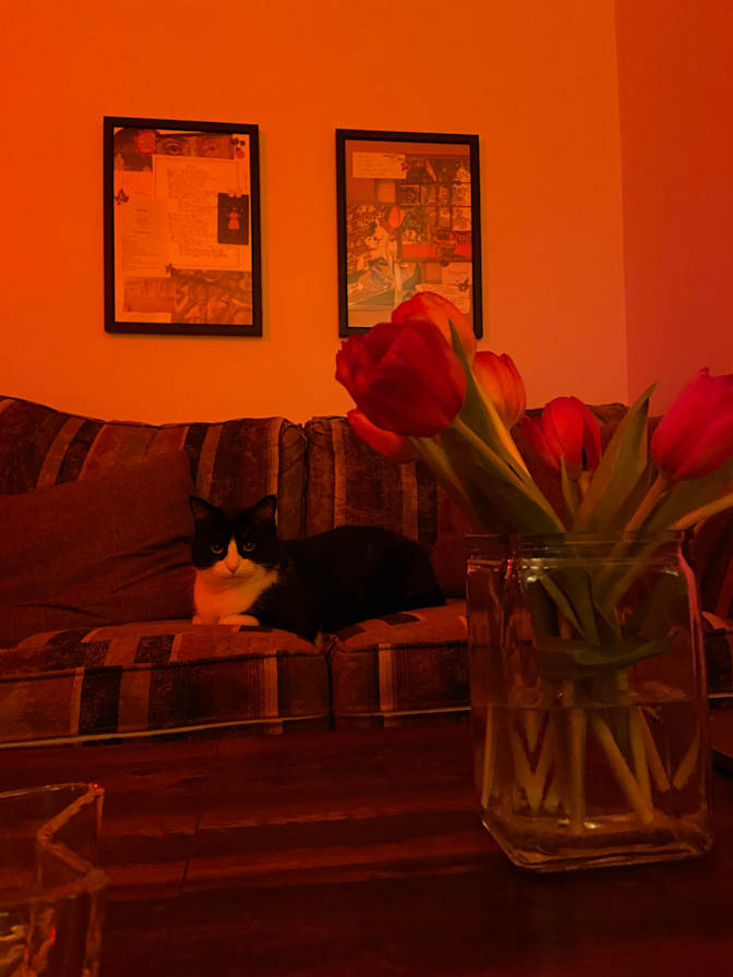 Jade's room