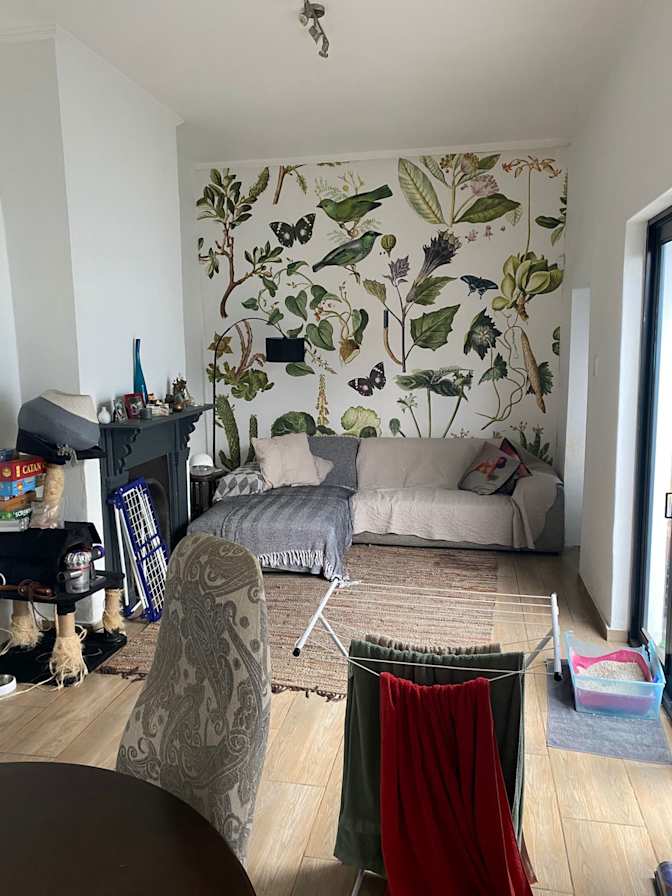 Tanis's room