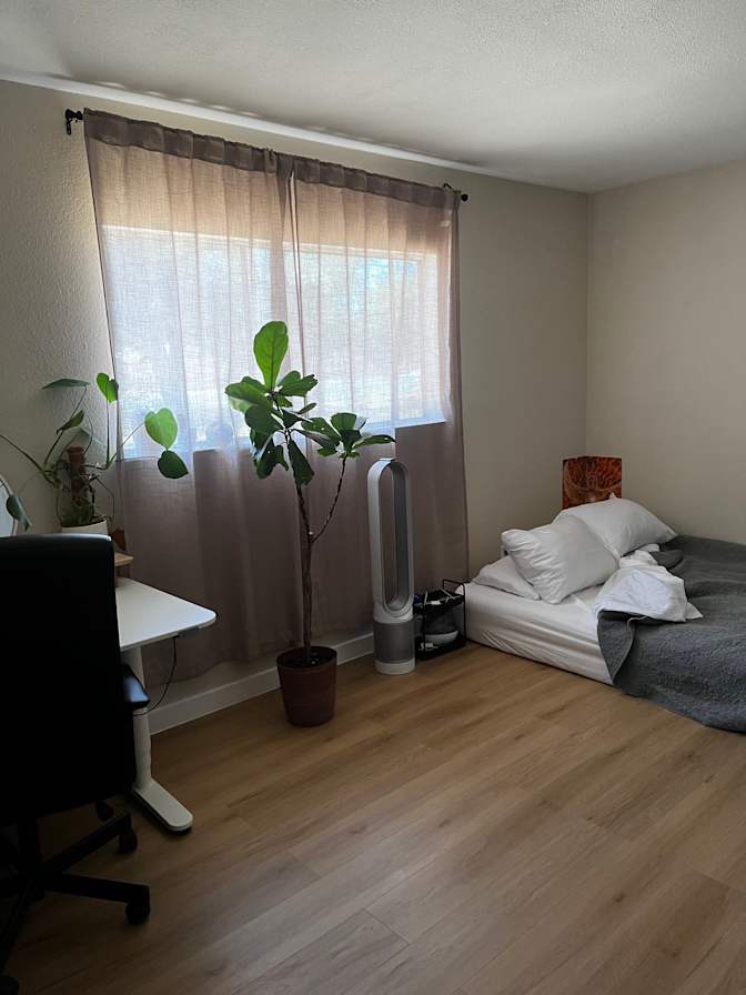 Sierra's room
