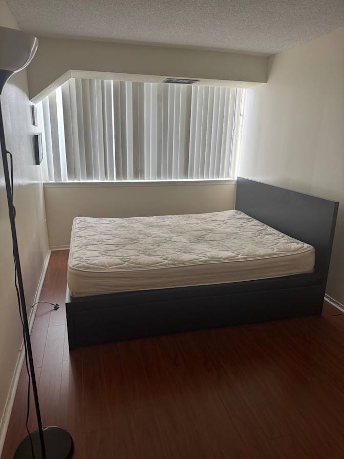 Sheila's room