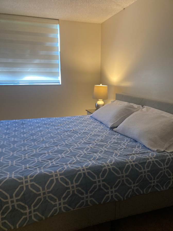 Cecilia Solomon's room