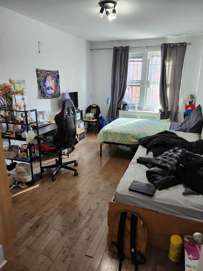 Nozzy's room
