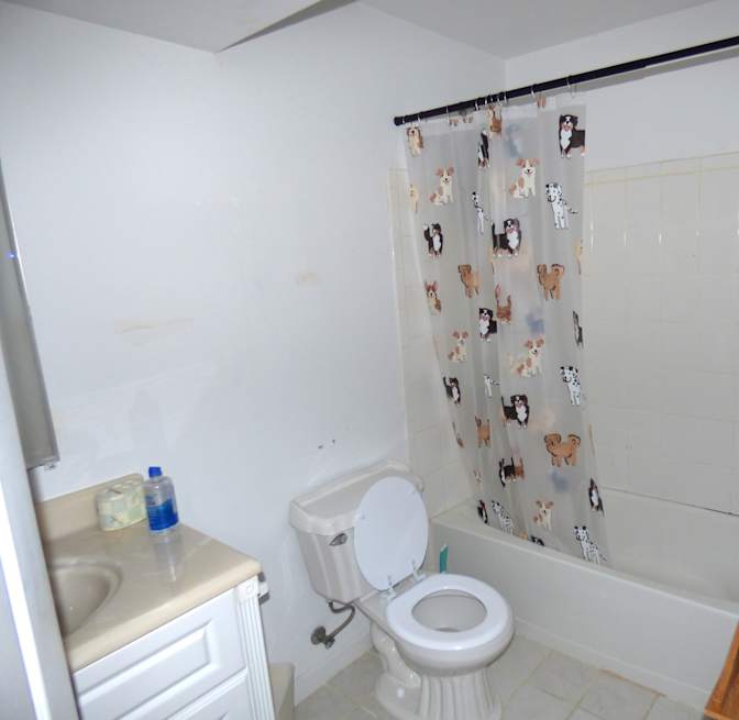 David's room
