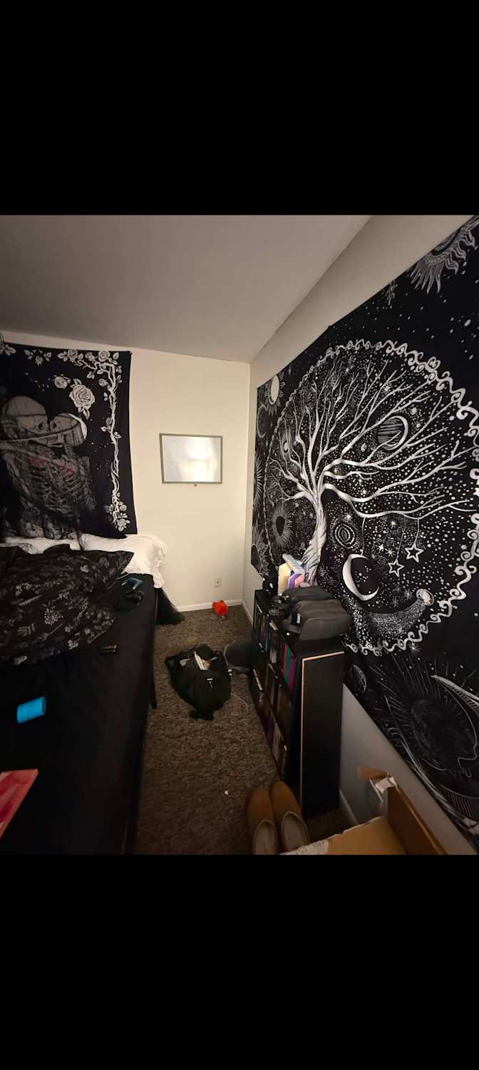 Amy's room
