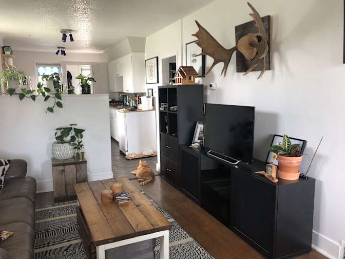 Shirley's room