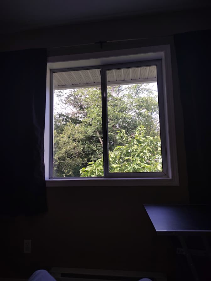 Barbara's room