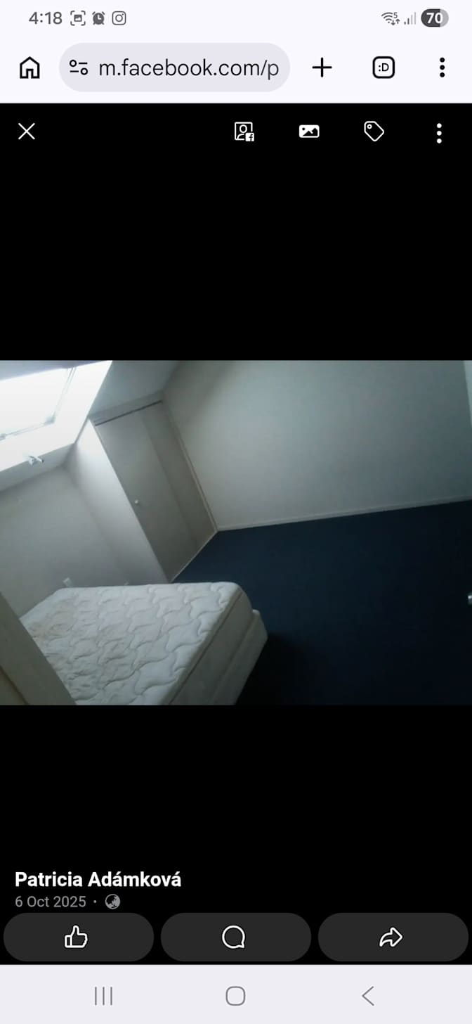 patricia adamkova's room