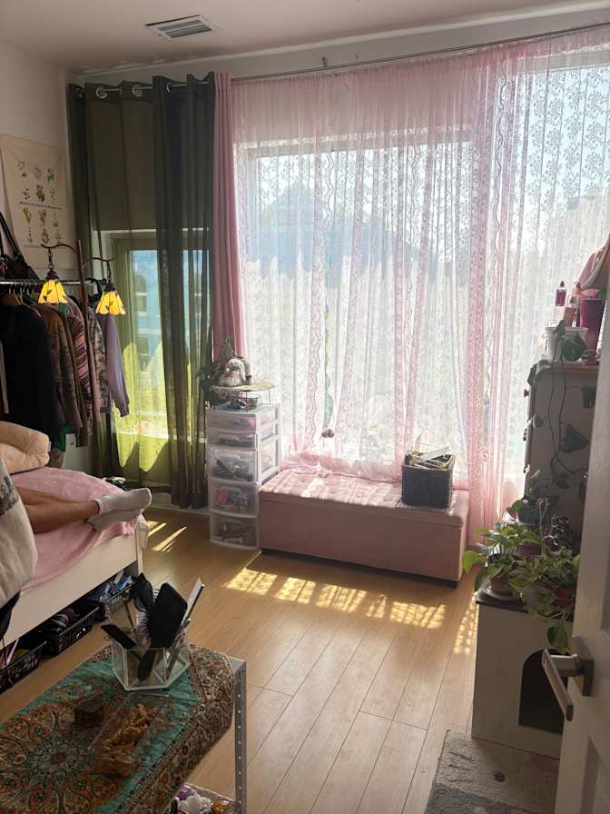 rashin's room