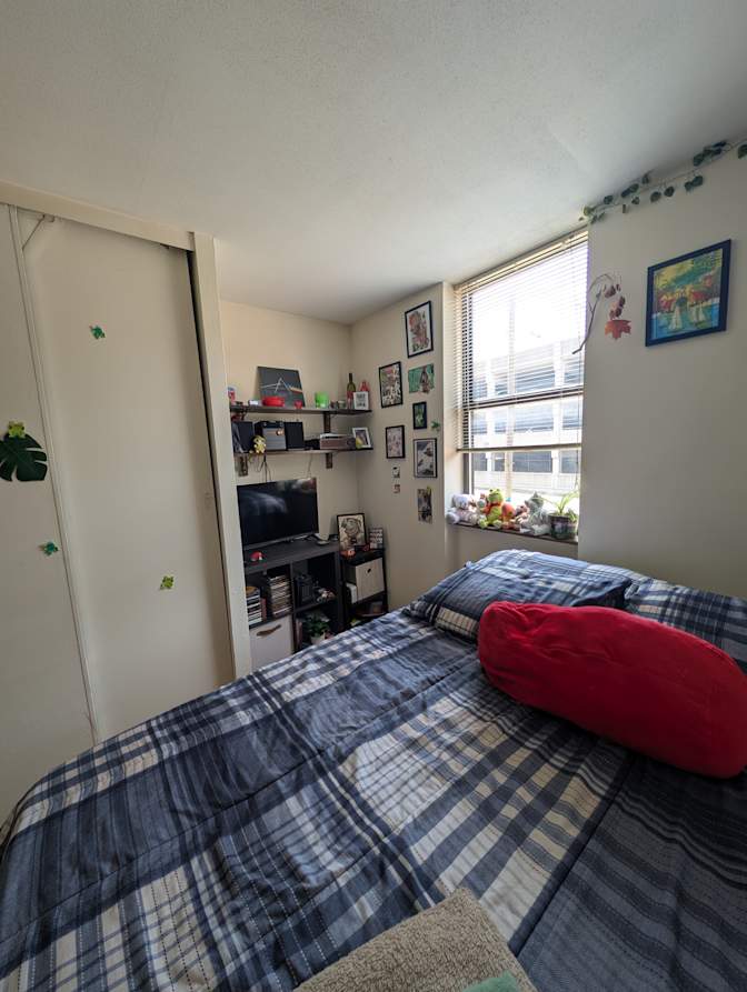 Natalia's room