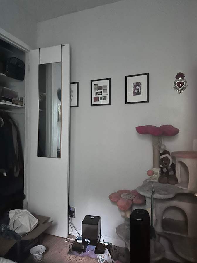 Abby's room