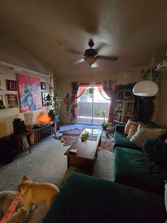 Jillian's room