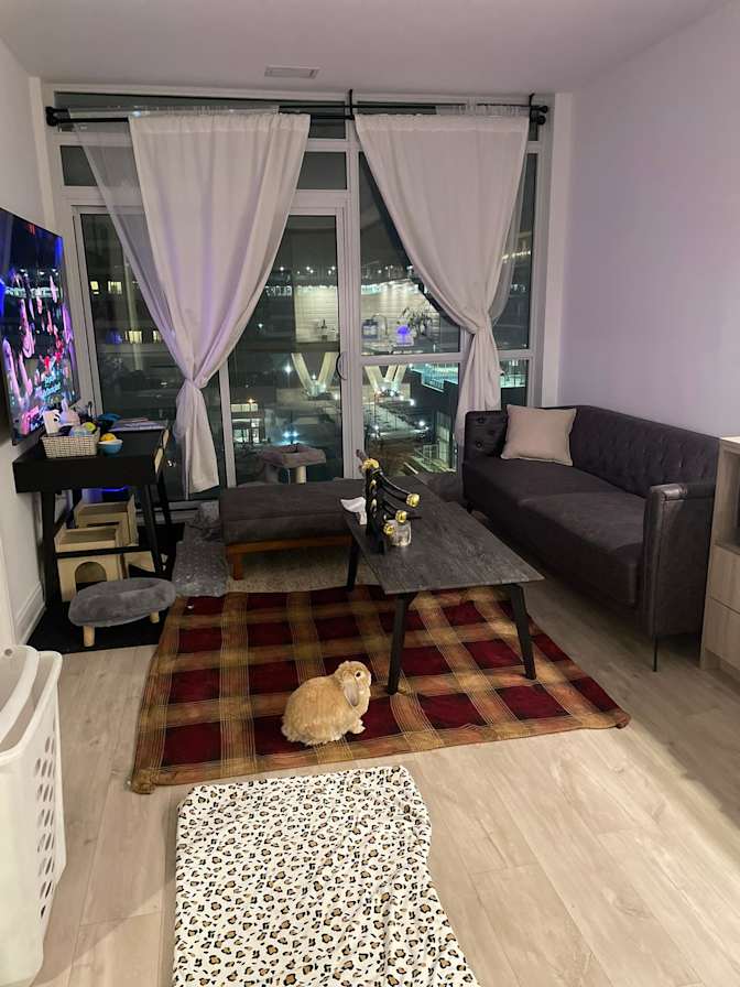 Sandip Randhawa's room