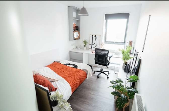 Farhan Alam's room
