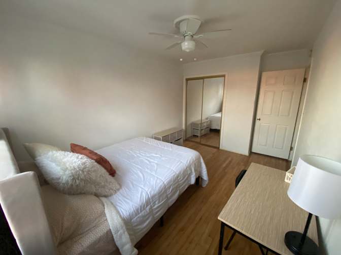 Haelly's room