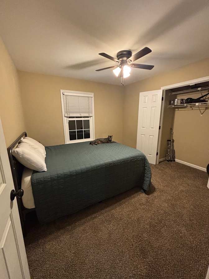 Mitch's room