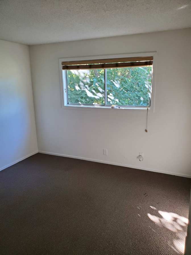 Thinus Venter's room