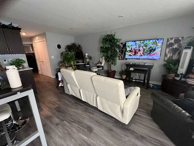 Jennifer Gabrysh's room