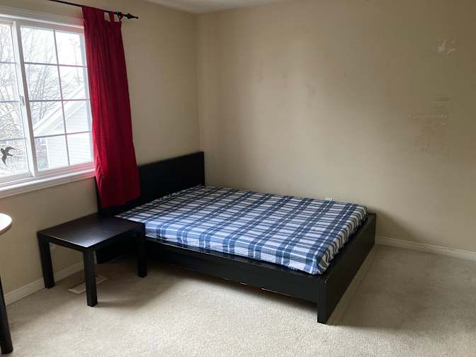 Amy's room