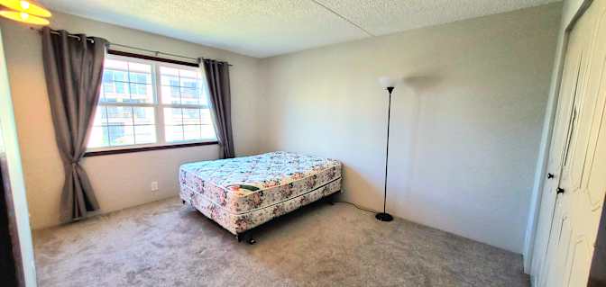 Stone's room