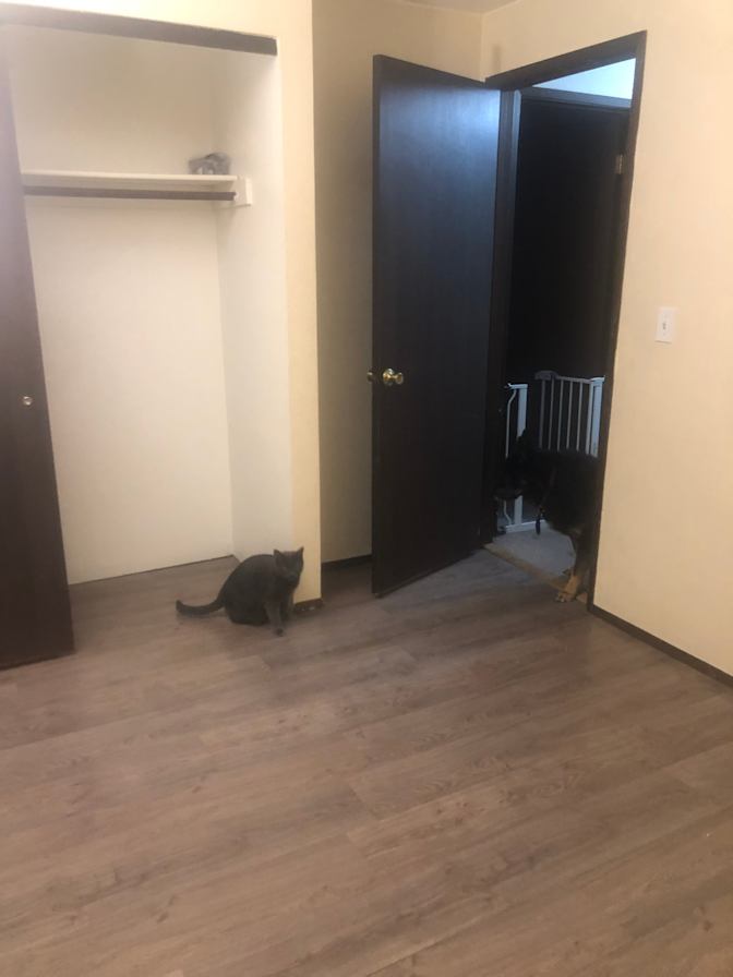 Natalie's room