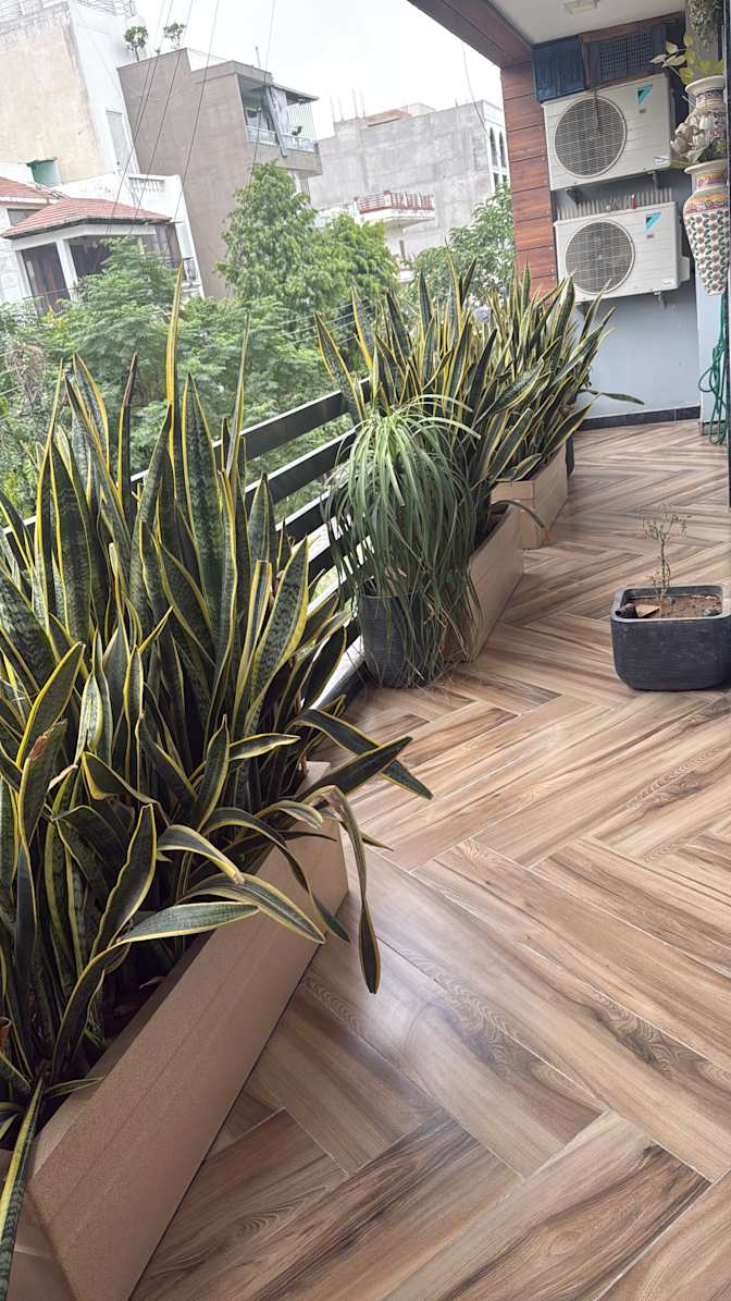 Komal Hora's room