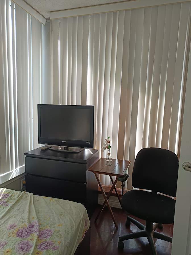 Dr. Hoda Hassan's room