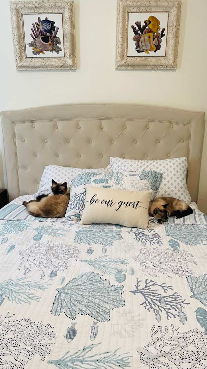 Brandy's room