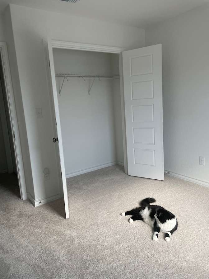 Makayla's room