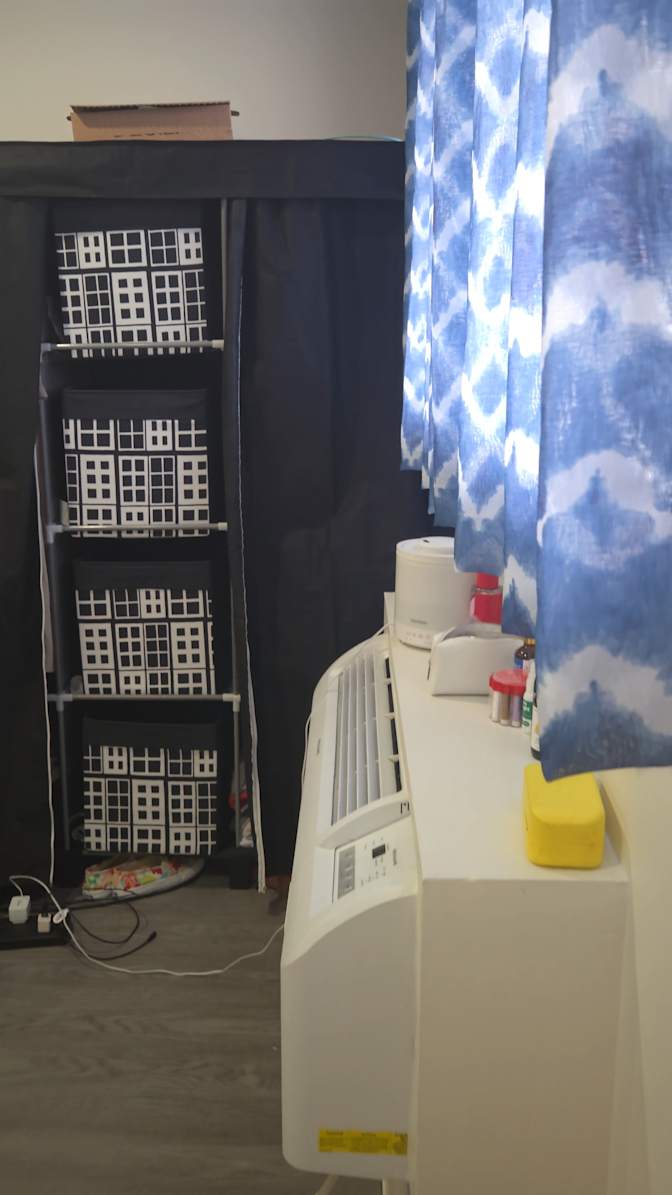 Roselyne's room