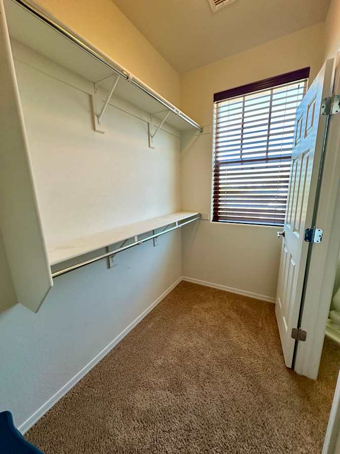 Maggie's room