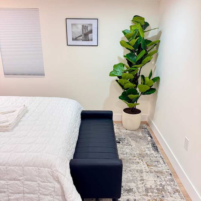 Jesse's room