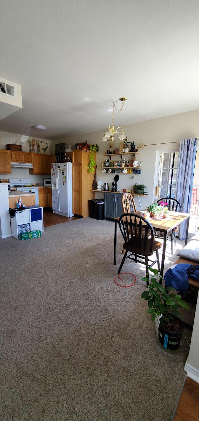 Ally's room