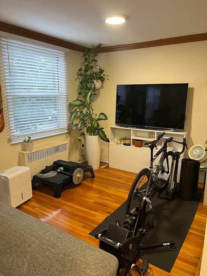 Jardany's room