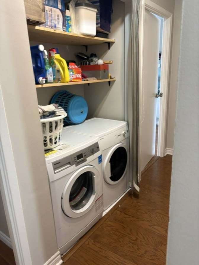 Ayden Mauro's room