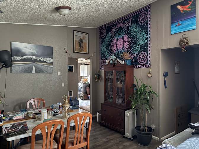 Hayli's room