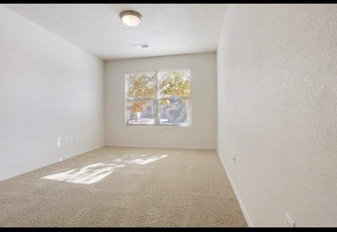 Dominic's room