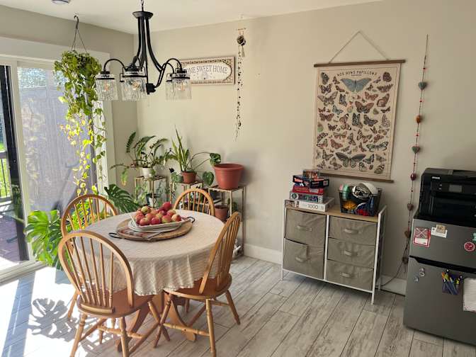 Ainsley Stapleton's room