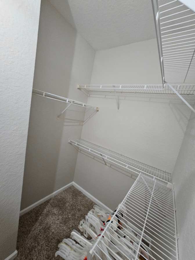Ariele's room