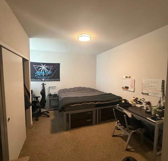 parisa's room