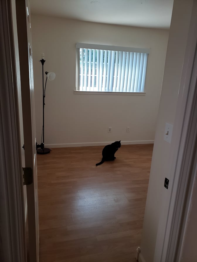 Rose's room