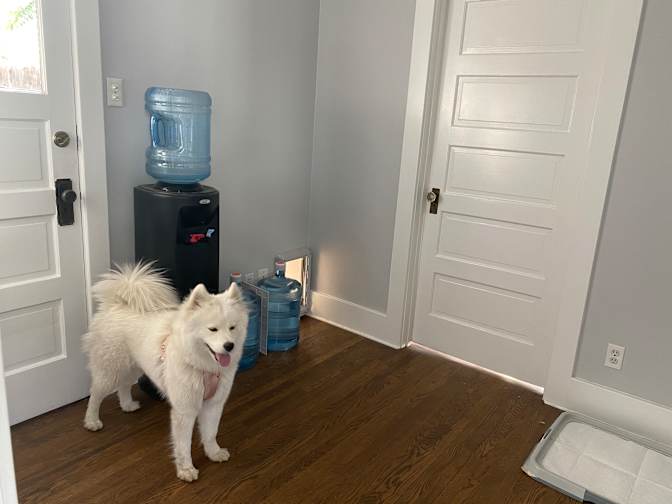 Katie's room