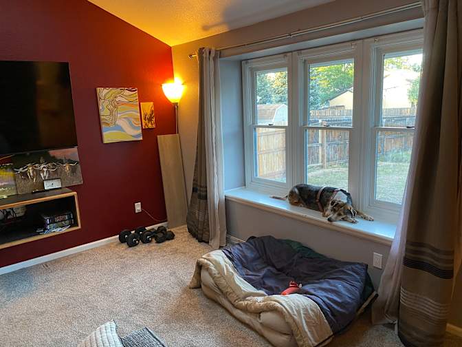 Bradyhart1's room