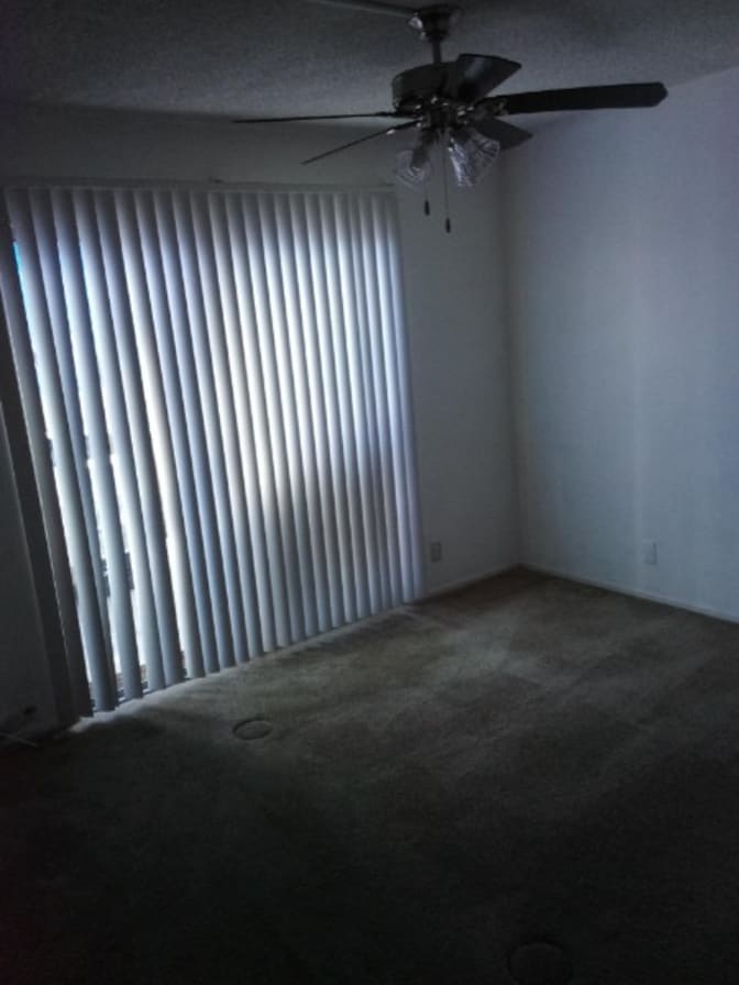 Pepe's room