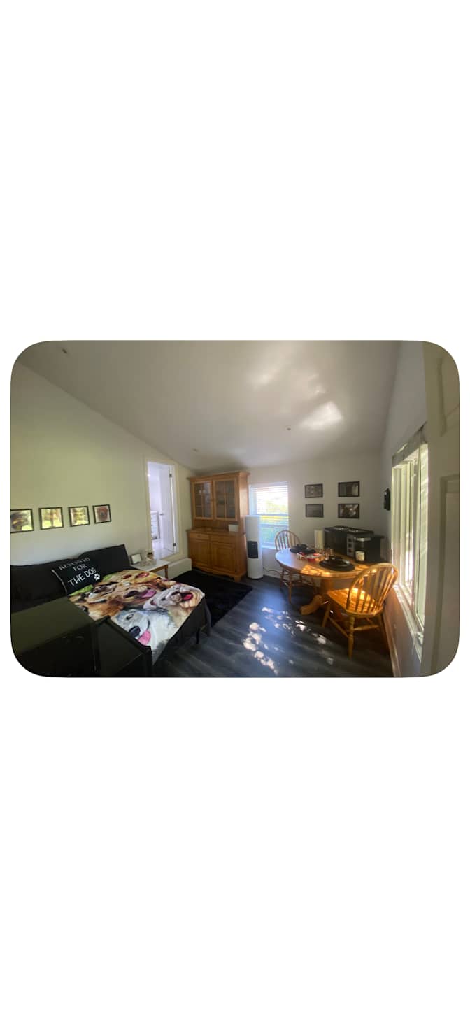 The Dog House's room