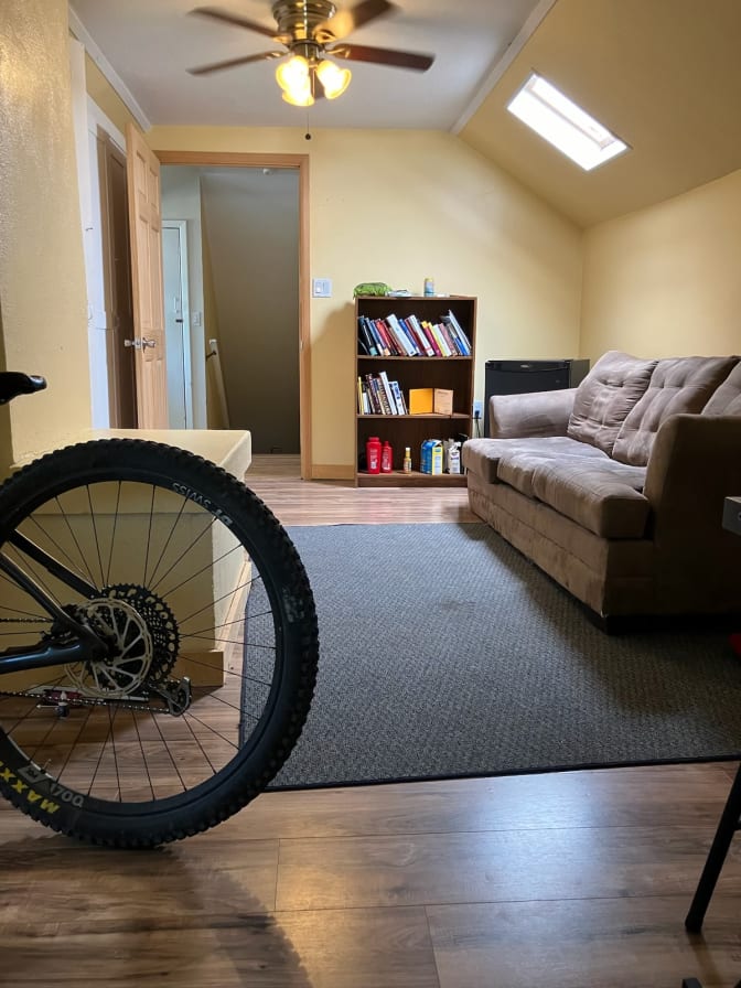 Shane's room
