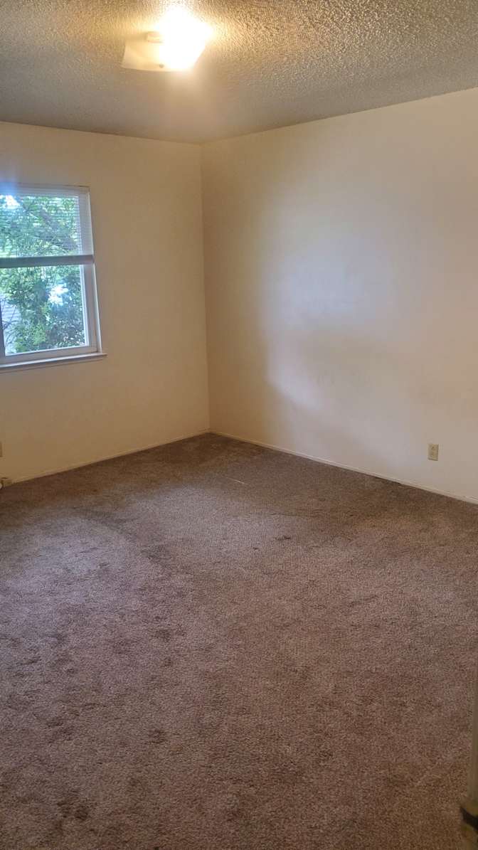 David's room